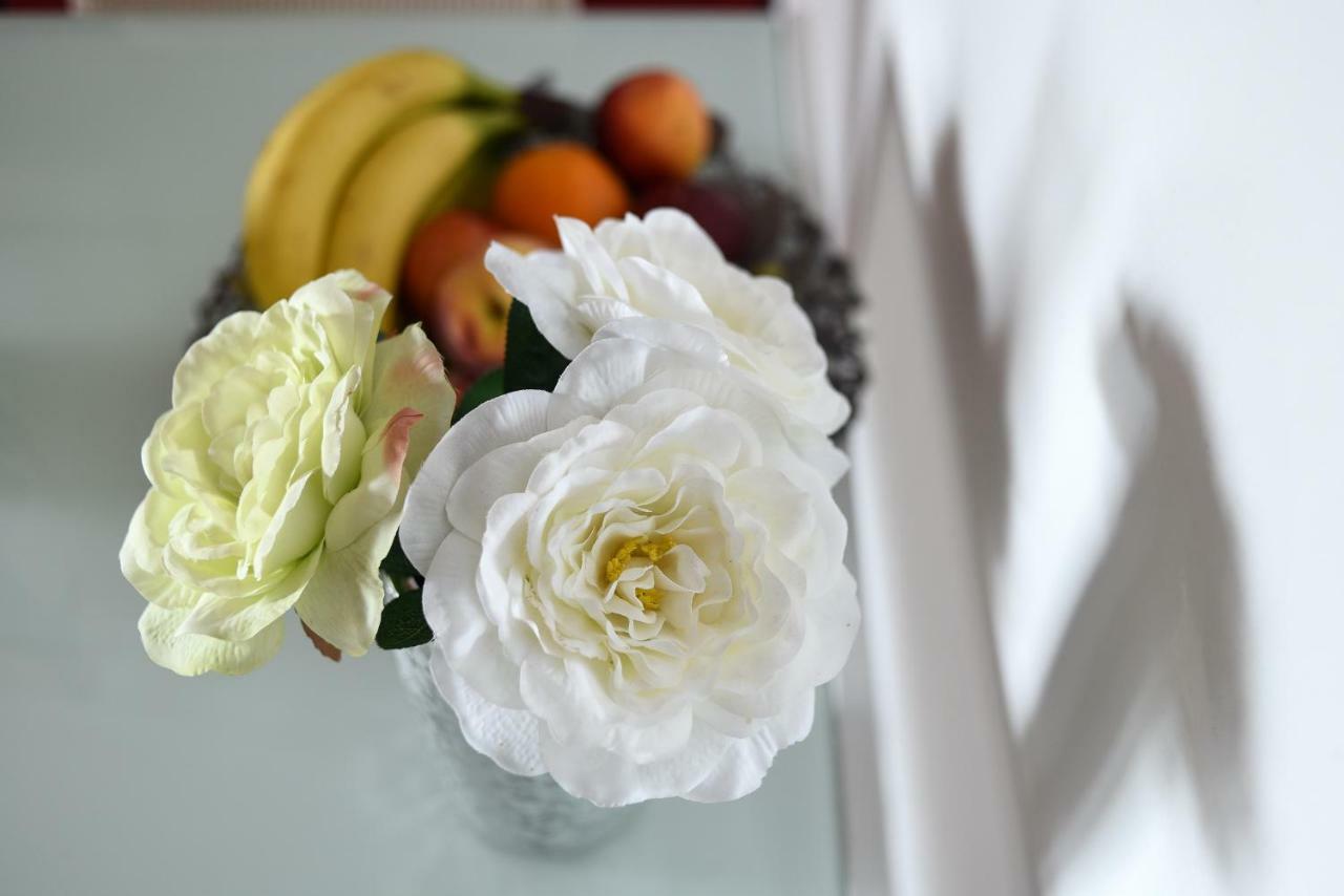 Apartmani Damant Zadar Dış mekan fotoğraf